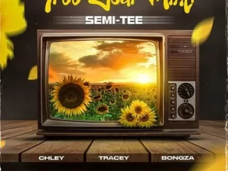 Semi Tee – Free Your Mind Ft. Chley, Tracey & Bongza