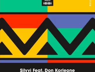 Silyvi – Work ft. Don Korleone