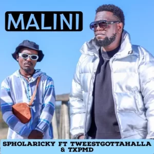 Sipho Eric Ndlovu – Malini ft. TxPMD & Tweestgottahalla
