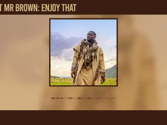Akon – Enjoy That Remix Ft. Mr Brown
