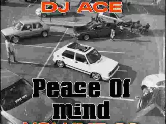 DJ Ace – Peace of Mind Vol 66 (AMA 45 MIX)