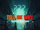 DJ Ally T – ‎Tell Me Why (The Ghost Hlubi Song)