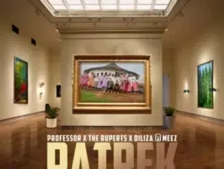 Professor, The Ruperts & Diliza ft Meez – Patrek (Azvibhadari)