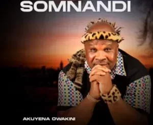 Somnandi – Ngawa Ngashelelela