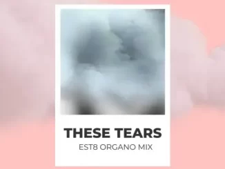 Spiritchaser, Est8 – These Tears (Est8 Piano Mix)