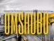 Sva The Dominator, Heartless Boyz MusiQ & BenZeero – ‎Umshubo ft. Ishise Viper