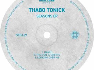 Thabo Tonick – Seasons