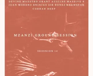 VA – Mzanzi Ground Session 14