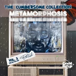 Various Artists – The Cumbersome Collection Vol. 3