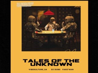 Vibekulture SA, Dj Dubs & Fake Man – Tales Of The Unknown