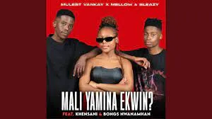 Mulest & Vankay & Mellow & Sleazy – MALI YAMINA EKWIN? ft Khensani & Bongs Nwana Mhan