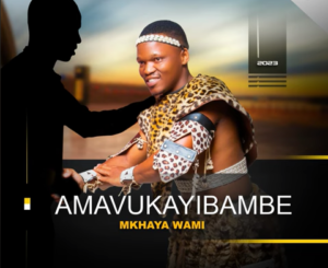 Amavukayibambe – Umngani weqiniso