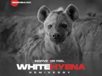 InQfive & Dr Feel – White Hyena (Motivesoul Remix)