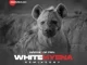 InQfive & Dr Feel – White Hyena (Remixes)