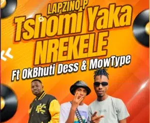 Lapzino P – Tshomi Yaka Nrekeale Ft OkBhuti Dess & Mowtype