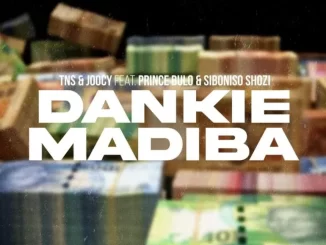 TNS & Joocy – Dankie Madiba ft. Prince Bulo & Siboniso Shozi