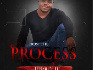 Tebza De DJ – Trust the Process Ft. DJ Nomza the King