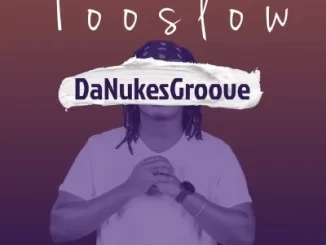 DaNukes Groove, DJ Obza & Myy Gerald – Too Slow