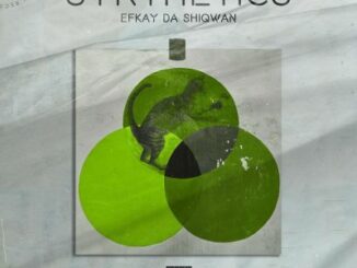 Efkay Da Shiqwan – Synthetics