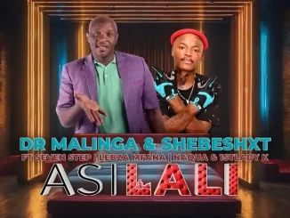 Dr Malinga & Shebeshxt – Asilali ft. Seven Step, Lebza Mfana, Naqua & 1stLady k