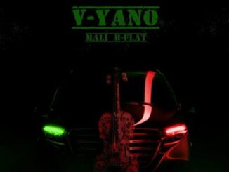 Mali B-Flat – V-Yano
