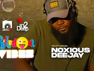 Noxious DeeJay – Chilled Out Vibes Mix