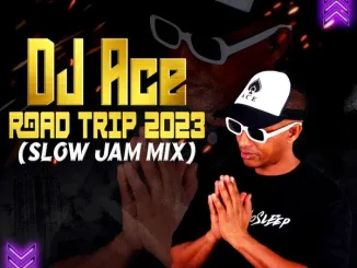 DJ Ace – Road Trip 2023 (Slow Jam Mix)