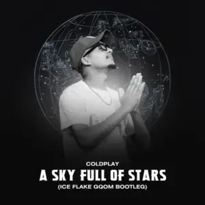 DJ Ice Flake – Stars