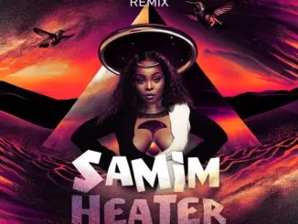 Samim – Heater (Thandi Draai, DJ Clock & Mphoza Remix)
