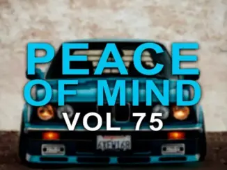 DJ Ace – Peace of Mind Vol 75 (2023 Christmas Day Special Slow Jam Mix)