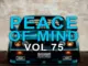 DJ Ace – Peace of Mind Vol 75 (2023 Christmas Day Special Slow Jam Mix)