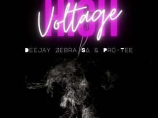Deejay Zebra SA & Pro-Tee – High Voltage