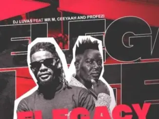 Dj Luvas – ELegacy ft Mr M, Ceeyaah & Profezi