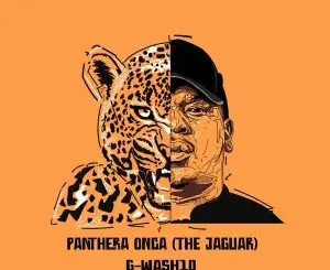 G-Wash10 – Panthera Onca (The Jaguar)