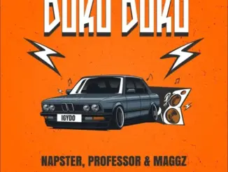 Napster, Professor & Maggz – Duku Duku (Igydo)