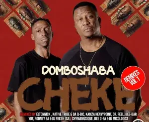 Domboshaba – Cheke Remixes, Vol. 1