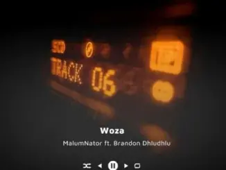 MalumNator & Brandon Dhludhlu – Woza