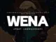 Vyno Keys, The Piano Imperious, Djy Biza & Soul Revolver – Wena ft LeeMcKrazy