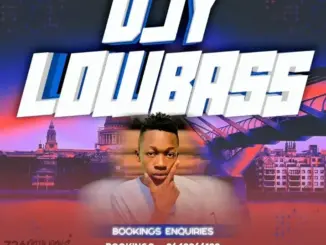 Lowbass Djy – Sgidongo Series Promo Mix