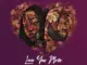UMngomezulu – Love You More (Remixes)