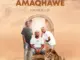 Amaqhawe – Impumelelo