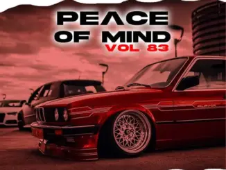 DJ Ace – Peace Of Mind Vol 83 (05 May 2024 Slow Jam Mix)