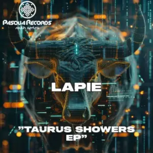 Lapie – The Groove (Deep Essentials Revisit) Ft. 8nine Muzique