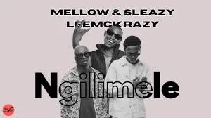 Mellow & Sleazy – Ngilimele Ft. Leemckrazy