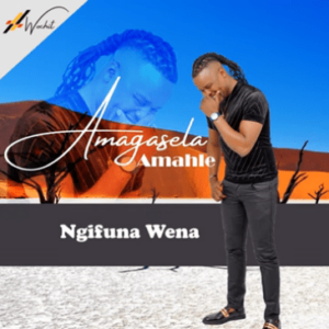 Stabhilithi – Amagasela Amahle (Ngifuna Wena)