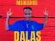 Dalas Mdalangwane – Mshushisi